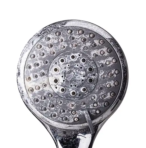 Limescale on showerhead